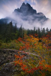 Foggy mountain in autumn