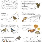 Climate change effects on wildlife infographic