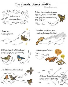 Climate change effects on wildlife infographic