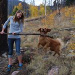 Girl and Retriever playing with fallen branch
