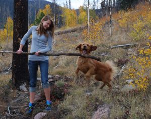Girl and Retriever playing with fallen branch