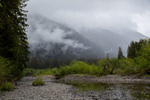 Foggy, cloudy day in the mountains near pebbly stream