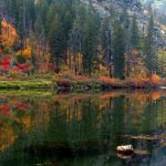 Lakeside mountain foliage in autumn colors