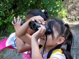 Two children birdwatching through binoculars