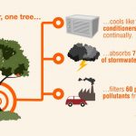 In a year, one tree EarthGauge infographic