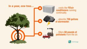 In a year, one tree EarthGauge infographic