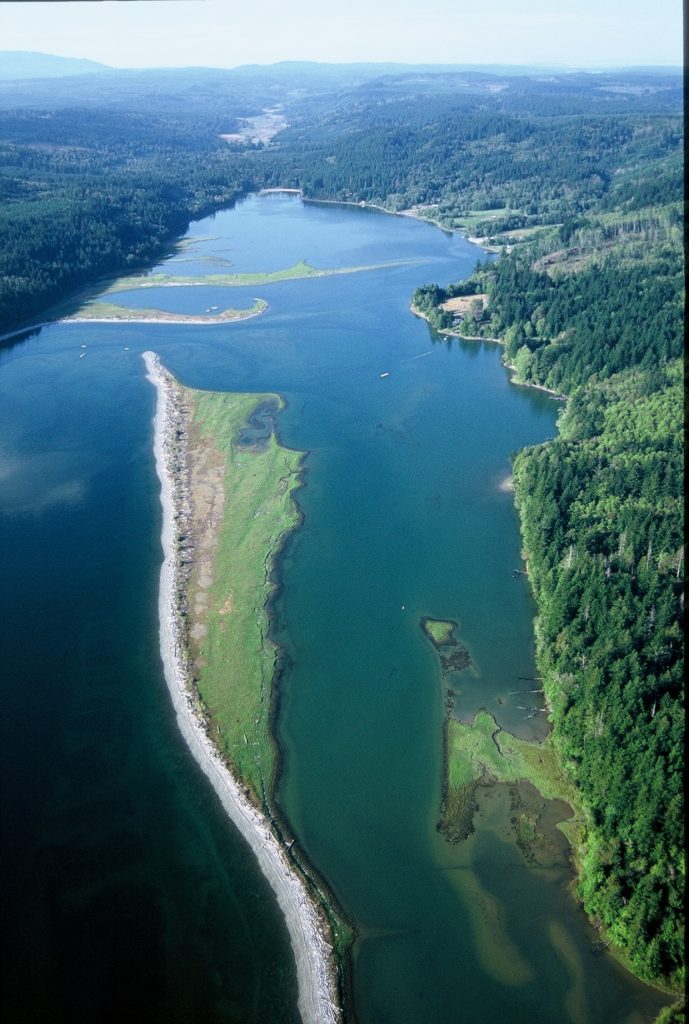 Dabob Bay Natural Area 2010 Wildlife Recreation and Coalition