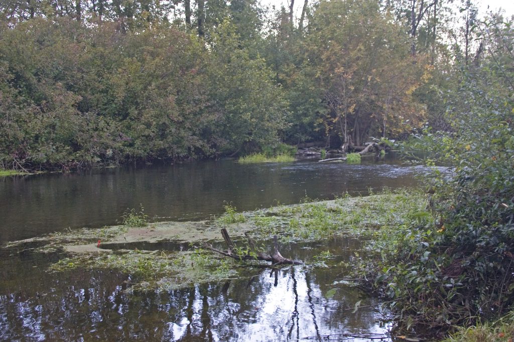 BLACK RIVER WILDLIFE visual data 3