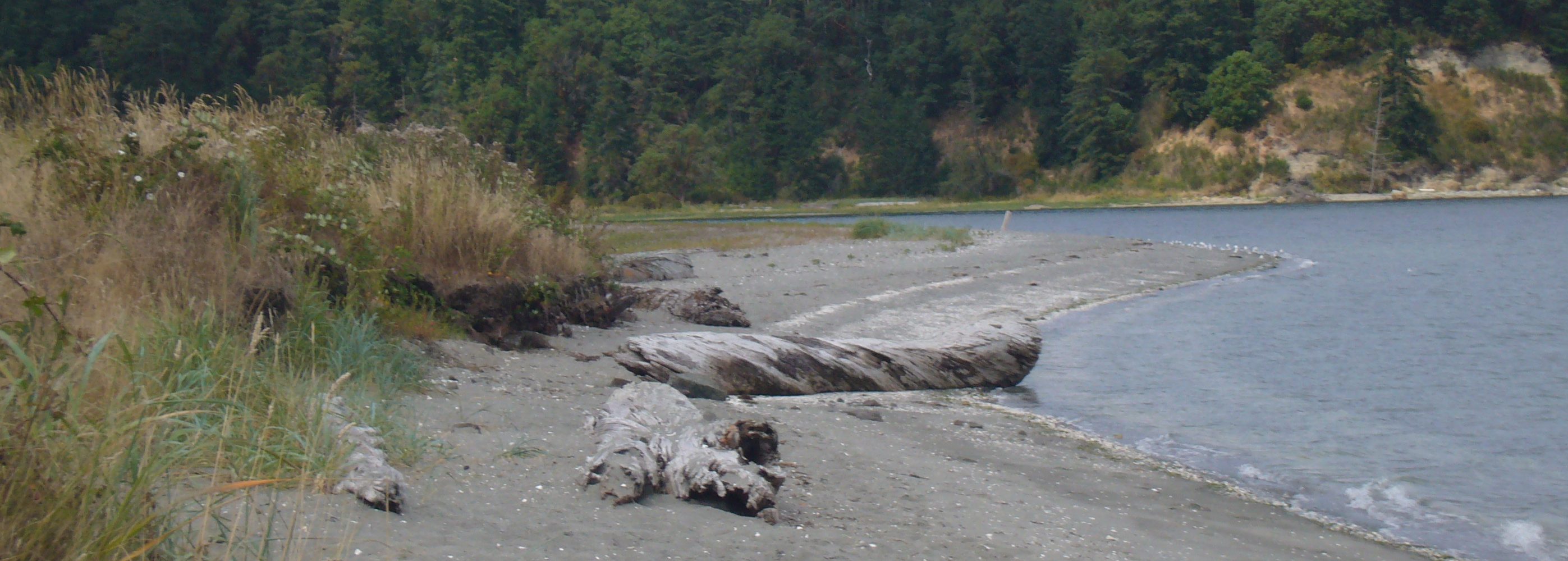 Chimacum Creek Beach Park Wildlife Recreation and Coalition