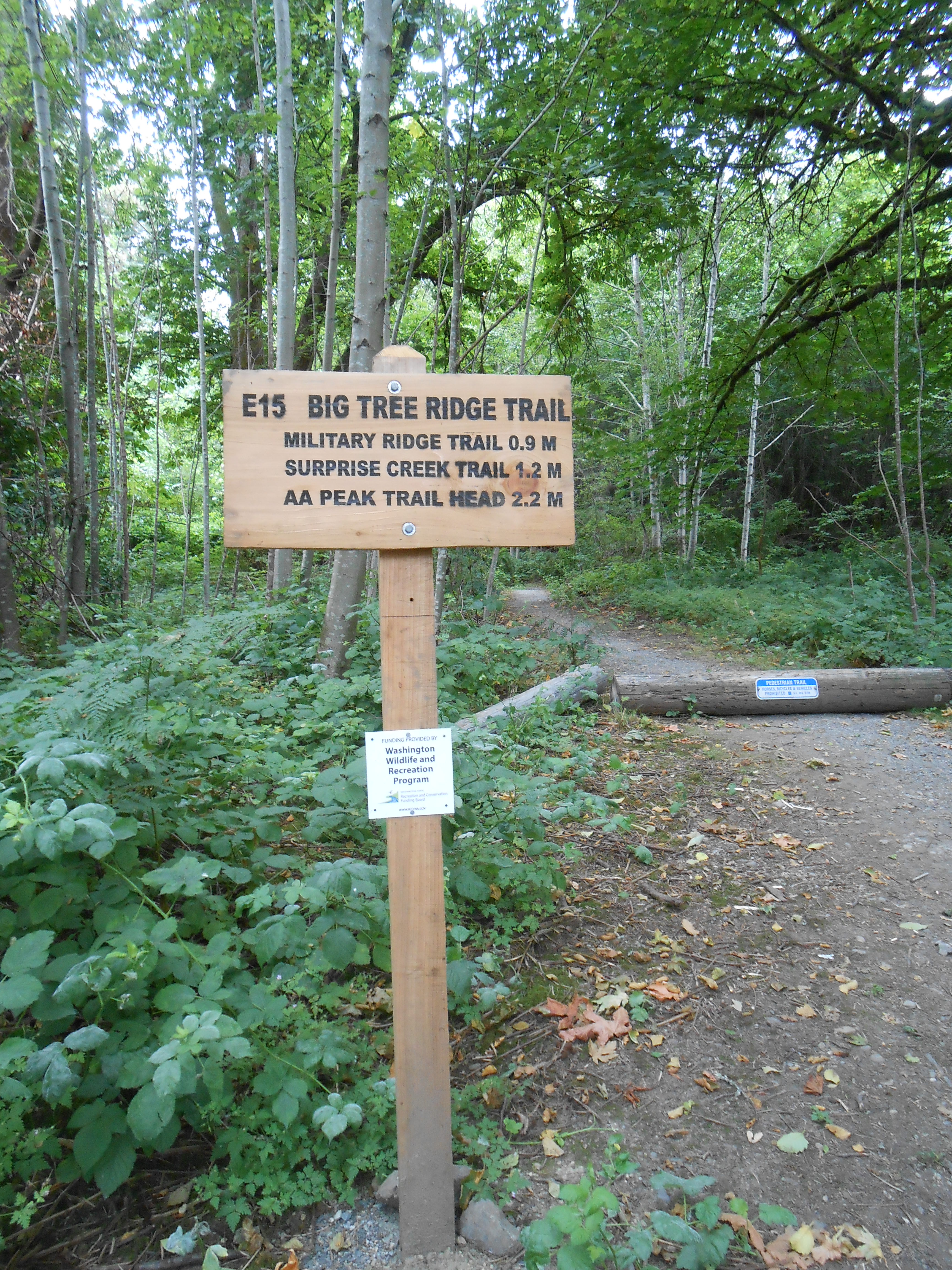 PRISM_Cougar Mountain Park - Precipice Trail Additions(3) - Wildlife ...