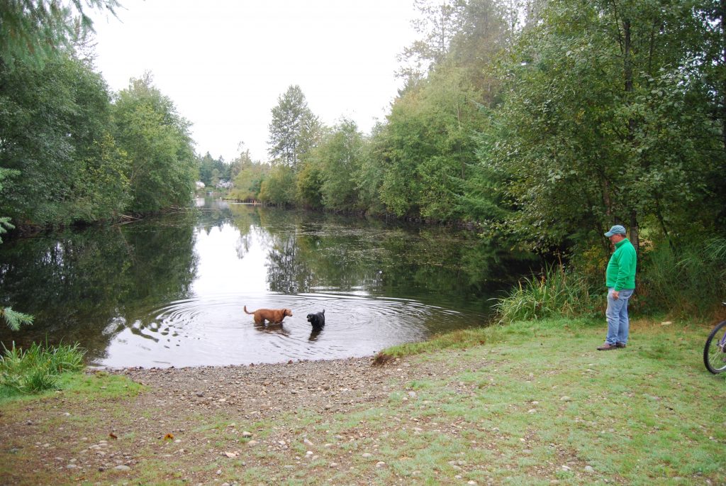 Lake Sawyer Regional Park - Wildlife Recreation and Coalition