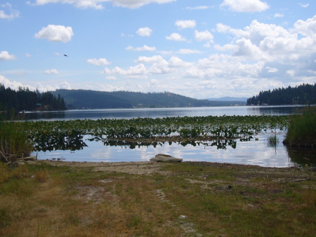 Newman Lake Acquisition Wildlife Recreation and Coalition