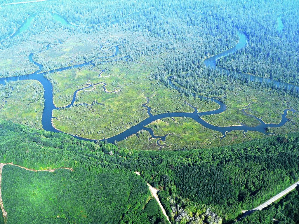 Chehalis River Surge Plain NAP 2016 Wildlife Recreation and Coalition