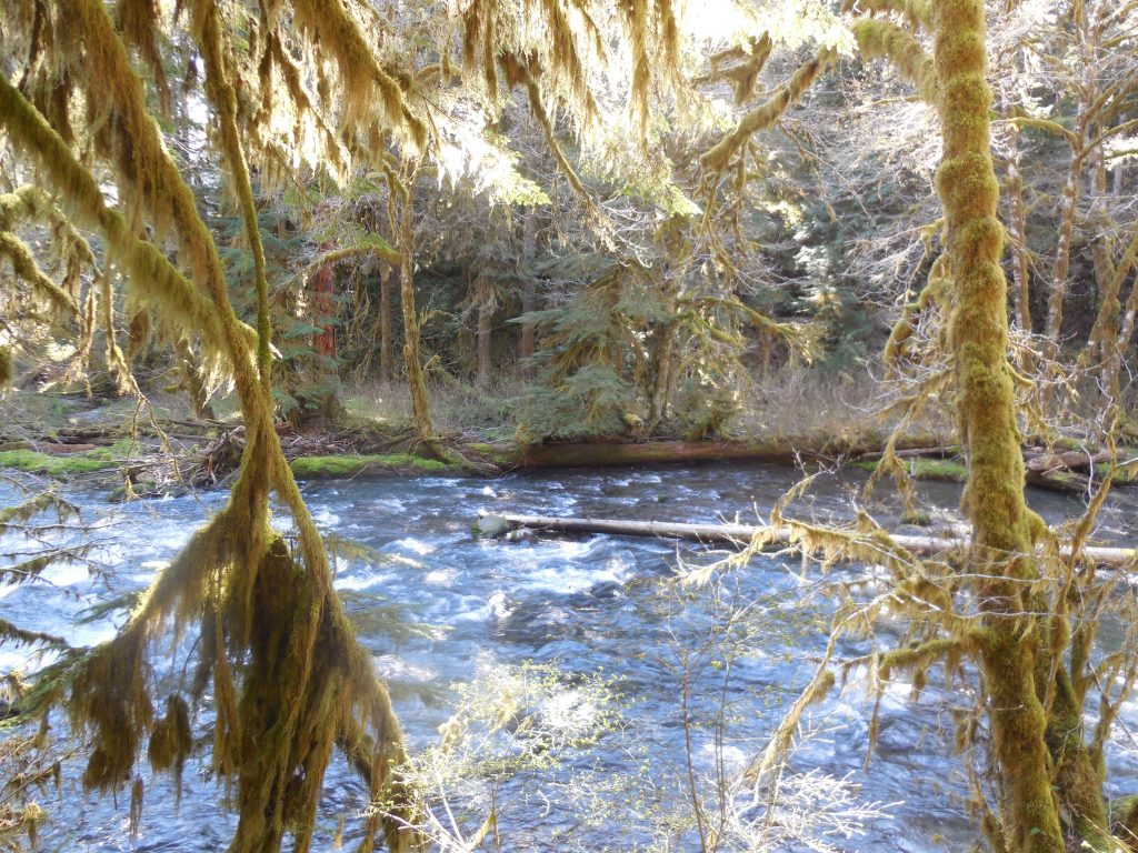 Merrill Lake Natural Area Wildlife Recreation and Coalition