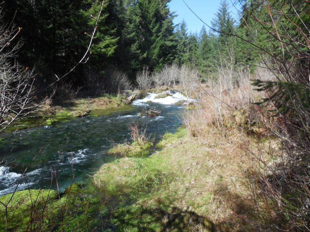 Merrill Lake Natural Area Wildlife Recreation and Coalition